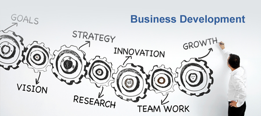 Why you need a business development service provider?