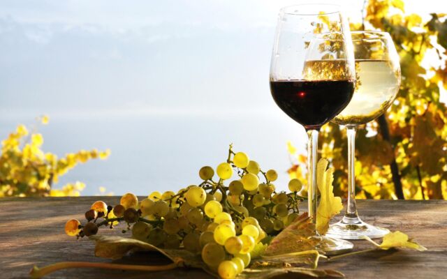 wine congress in Bulgaria next year